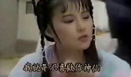 仙女多情在线观看,浪漫邂逅，梦幻之旅