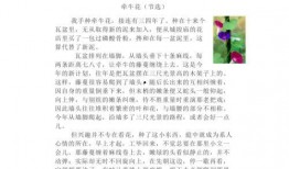 喜提吃瓜短文免费阅读,轻松畅享免费阅读之旅