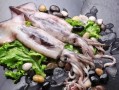 海鲜鱿鱼爆料视频播放,揭秘海洋美食背后的秘密