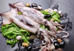 海鲜鱿鱼爆料视频播放,揭秘海洋美食背后的秘密