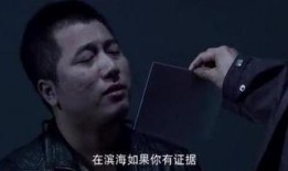 暴风刑警在线观看,在线追凶，正义风暴席卷而来