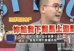 台媒爆料家暴案件最新,悲剧背后隐藏的惊人真相