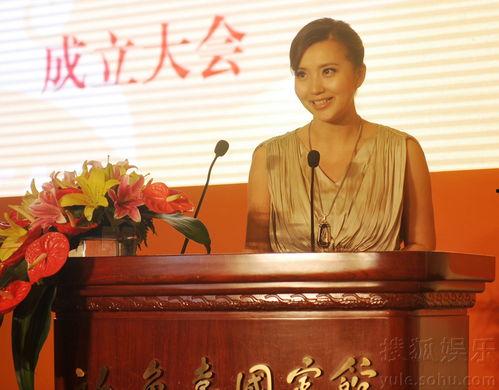 娱乐吃瓜委会副会长,幕后故事与影响力解析