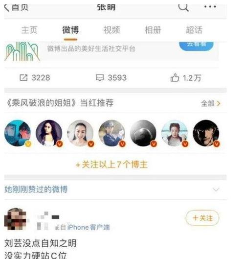 娱乐吃瓜酱站的高度不同,揭秘娱乐吃瓜酱站不同高度下的视角奇观